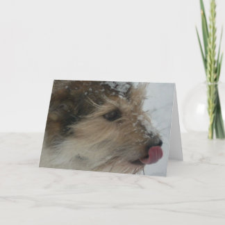 Carte Chiot dans la neige