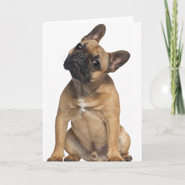 Carte Chiot de bouledogue français (7 mois) (Devant)