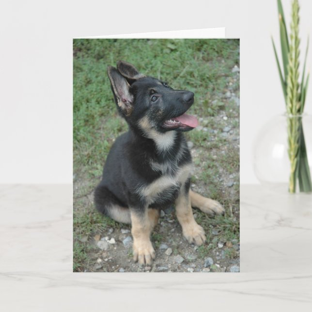 Carte Chiot de chien de berger allemand (Devant)