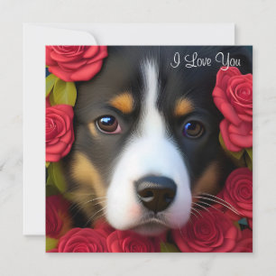 Carte Chiot de Corgi en roses rouges