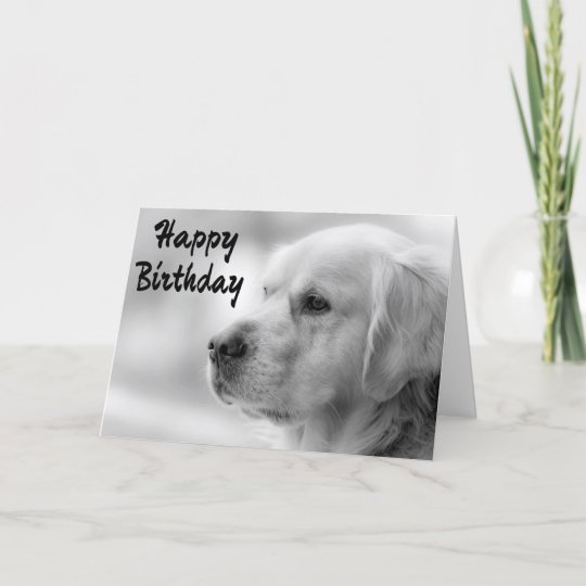 Carte Chiot De Golden Retriever De Joyeux Anniversaire Zazzle Ca