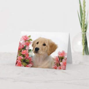 Carte Chiot de golden retriever et fleurs roses