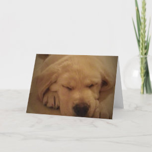 Carte Chiot de laboratoire jaune dormant