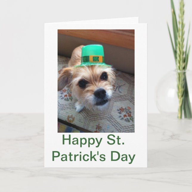 Carte Chiot de St. Patrick (Devant)