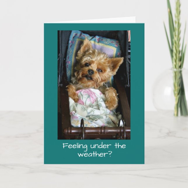 Carte Chiot de Yorkie dans la voiture d'enfant (Devant)