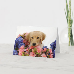 Carte Chiot et fleurs de golden retriever