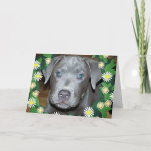 Carte Chiot labrabull avec fleurs / Photo Chien de compa