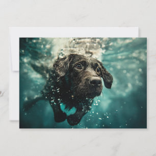 Carte Chiot labrador nageant sous l'eau Design