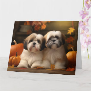 Carte Chiot Lhasa Apso Délice d'Automne Citrouille