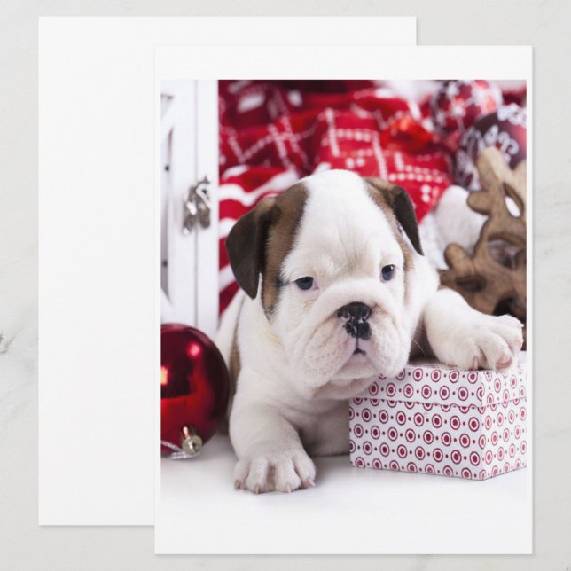Carte Chiot mignon Bouledogue Anglais | Noël drôle (Devant / Derrière)