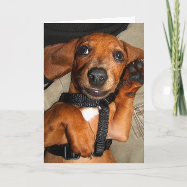 Carte Chiot mignon d'animal familier de teckel (Devant)