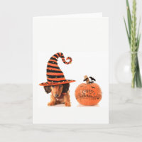 Chiot mignon Halloween de teckel