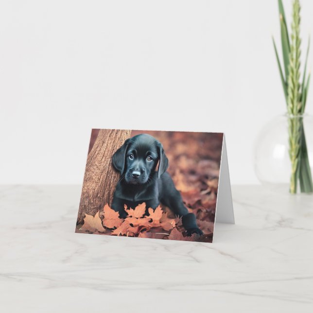 Carte Chiot noir du laboratoire (Devant)