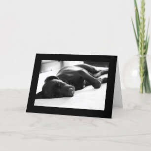 Carte Chiot somnolent labrador retriever