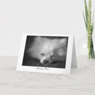 Carte Chiot somnolent - vous manquer