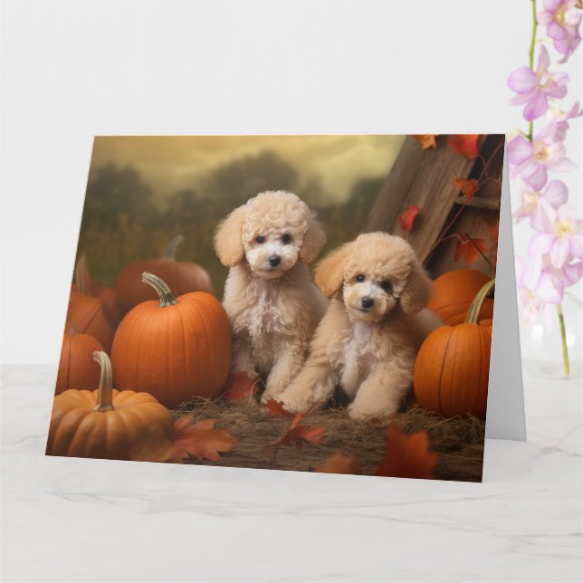 Carte Chiots Caniches Délice d'Automne Citrouille (Orchidée)