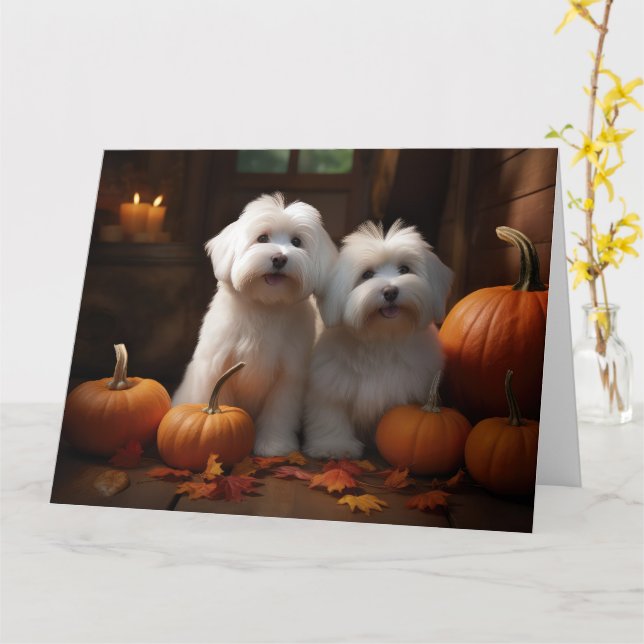 Carte Chiots Coton De Tulear Délice d'Automne Citrouille (Fleur jaune)