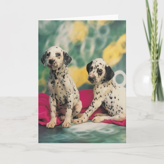 Carte Chiots dalmatiens (Devant)