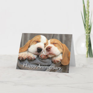 Carte Chiots endormis