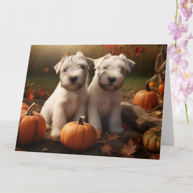 Carte Chiots Terrier Wheaten Délice d'Automne Citrouille (Orchidée)