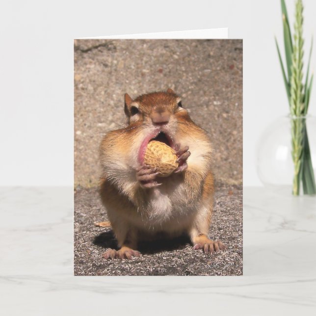 Carte Chipmunk (Devant)