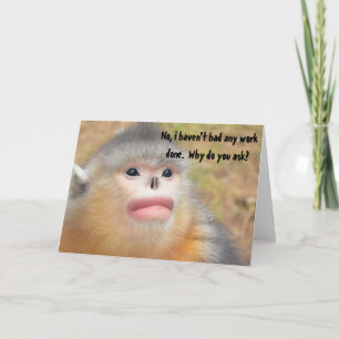 Carte Chirurgie en plastique singe Humour Drôle Salutati