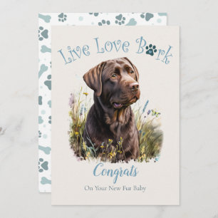 Carte Chocolat Laboratoire Chien Maman Adoption Florale