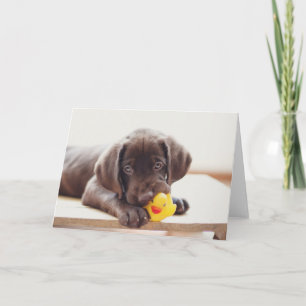 Carte Chocolat Labrador Chiot Avec Canard De Jouet