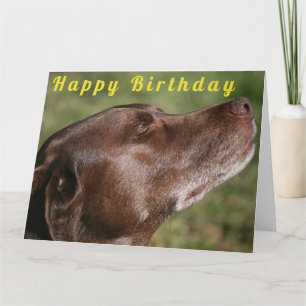 Carte Chocolat mignon Chien du Labrador - Joyeux anniver