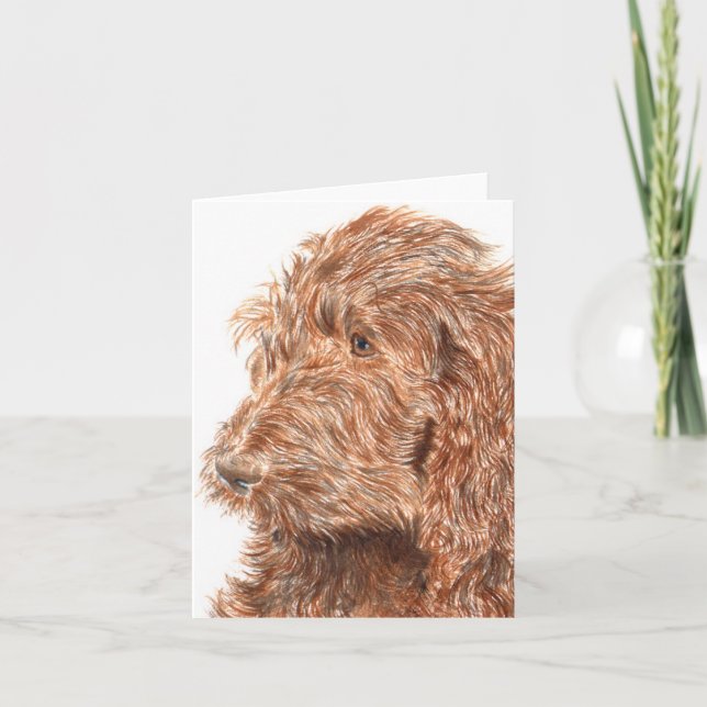 Carte Chocolate Labraoodle #2 Notecard (Devant)