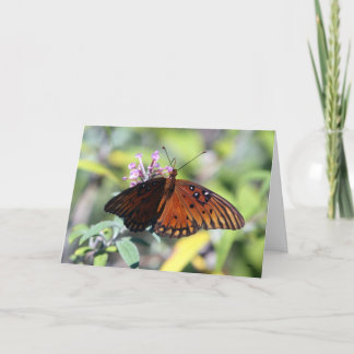 Carte Choix de mamans, bonjour