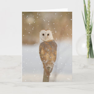Carte Chouette à la grange dans la neige