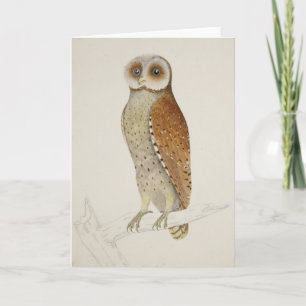 Carte Chouette barrée rustique vintage nature illustrati