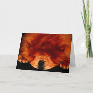 Carte Chow Chow Chow Gcna