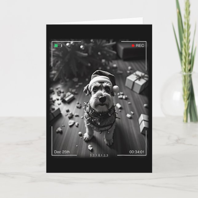 Carte Christmas Schnauzer Caught On Camera  (Devant)