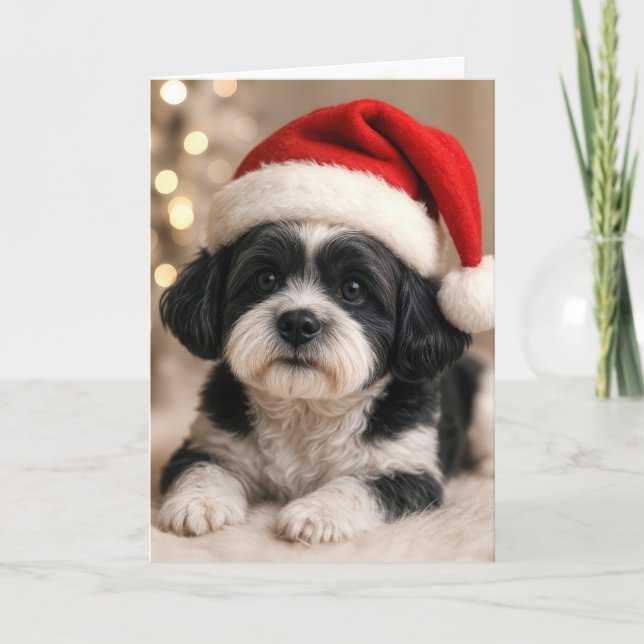 Carte Christmas Shih Tzu Dog With Santa Hat (Devant)