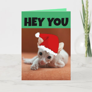 CARTE CHRISTMAS SPHYNX HAIRLESS CAT KITTEN