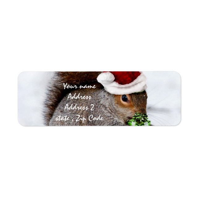 Carte Christmas Squirel (Devant)