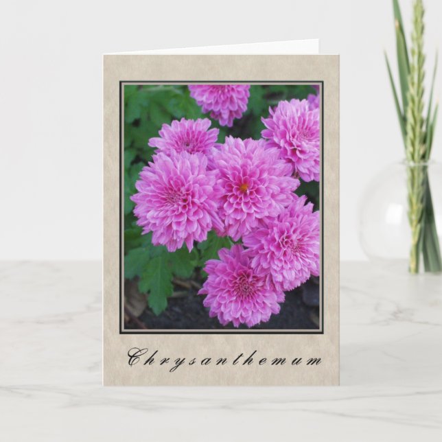 Carte Chrysanthème - Série Florale (Devant)