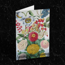 Chrysanthème Vintage personnalisé Pavot Lilac
