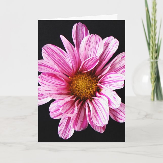 Carte Chrysanthemum Fleur gcnm (Devant)