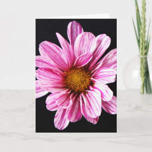 Carte Chrysanthemum Fleur gcnm