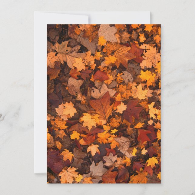 Carte chute-feuillage-111315 CHUTE AUTOMNE FEUILLES COUL (Devant)