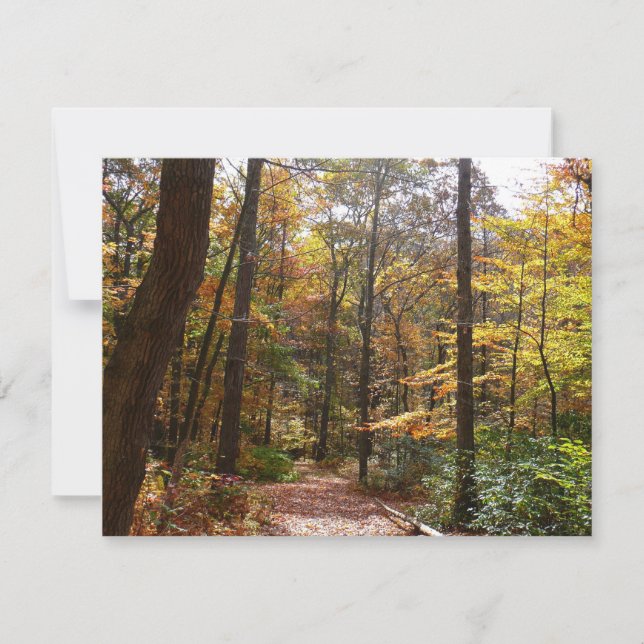 Carte Chute Sunlit dans le parc national de Laurel Hill (Devant)