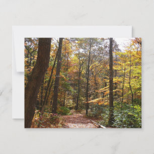 Carte Chute Sunlit dans le parc national de Laurel Hill