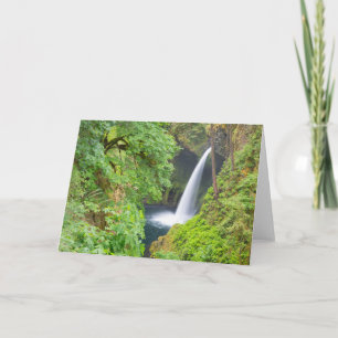 Carte Chutes Metlako