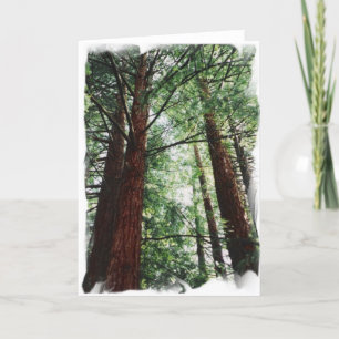 Carte Ciel de Redwood