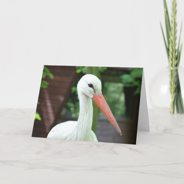 Carte cigogne (Devant)