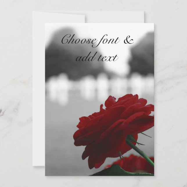 Carte Cimetière et Rose rouge - Fête commémorative (Devant)