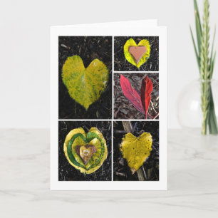 Carte Cinq Feuilles
